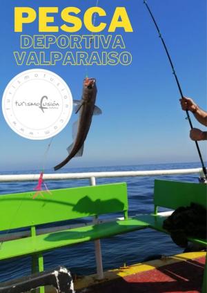 ORGANIZACION DE VIAJES & TOURS A VALPARAISO / VIÁA DEL MAR en Valparaiso, Valparaiso