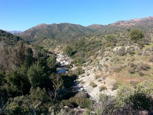 Camping en Quilpue en Quilpue, Valparaiso