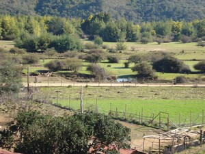 Alojamiento Rural en Pichilemu en Pichilemu, Ohiggins