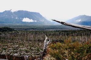 Agencia Viajes Alrededor de Patagonia en Puerto Varas, Los Lagos