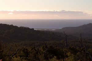Reserva Tablaruca en Quellon, Los Lagos