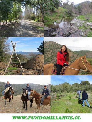 Cabalgatas en San Javier en San Javier, Maule
