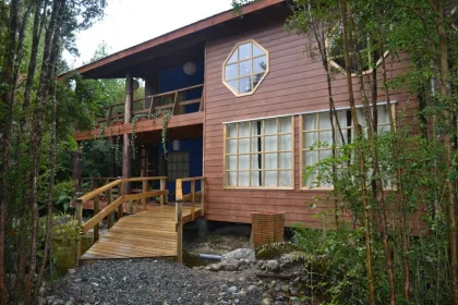 Atma Bosque, Bienestar en el medio del bosque en Puerto Montt, Los Lagos