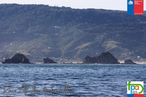 Paseos Nauticos Lafen Mapu