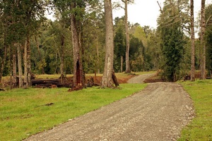 Los lingues Lodge en Puerto Octay, Los Lagos