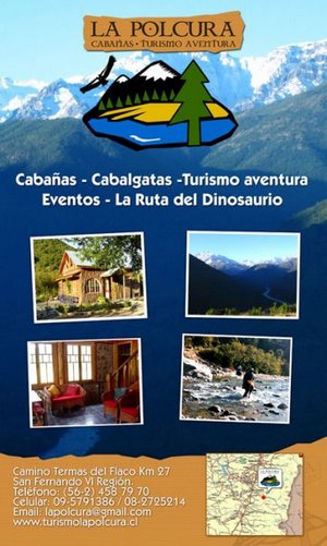 Cabañas Lodge de Pesca Turismo La Polcura en San Fernando, Ohiggins