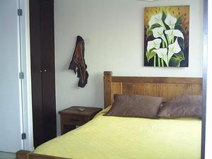 Arriendo departamentos amoblados en santiago centro por dias 