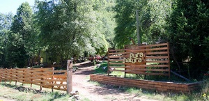 Cabañas Pura Natura en termas de Chillan