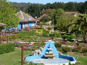 Cabañas Bahía Isidoro - El Quisco