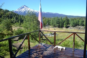 Arriendo Cabaña en Parque Nacional Conguillio