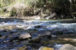 Camping La Araucaria cerca de las termas en Pucon, Araucania