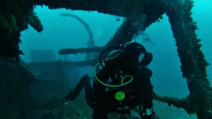 Buceo en Pichidangui... conoce el Mantra de bucear junto a nosotros.