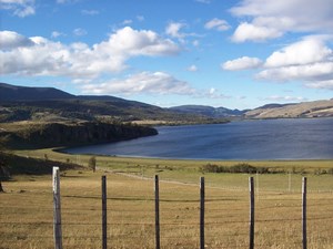 Pesca con Mosca en Coyhaique