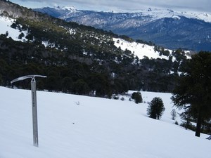 Agencia de Turismo Aventura, Etno Cultural y Trekking en Temuco, Araucania