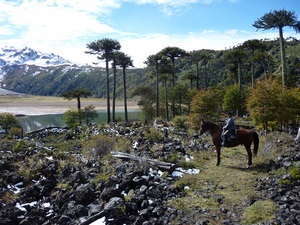 Fundo Laguna Blanca