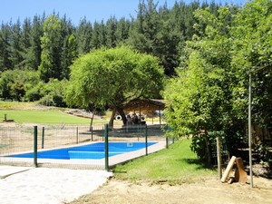 Camping Entre Pinos - Curepto Talca 