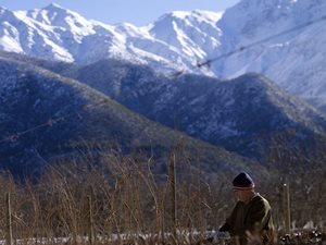 Visita y degustación en viña boutique de Pirque en Pirque, Metropolitana