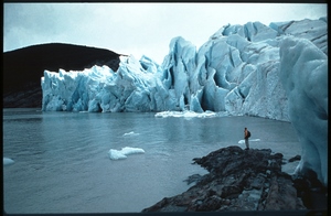 Ecoturismo en Punta Arenas en Punta Arenas, Magallanes
