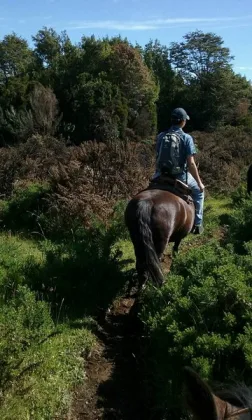 Cabalgatas bosque nativo de Chiloe en Chonchi, Los Lagos