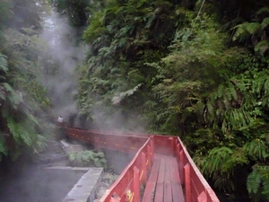 Tranfer Tour Volcanes del Sur en Villarrica, Araucania