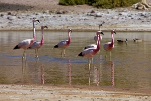 Trekking Machuca - Rio Grande