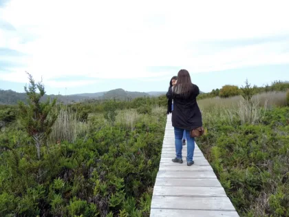 Tour Bosque Piedra y P.N. de Chiloe en Castro, Los Lagos