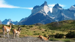 Full Day Torres del Paine en Punta Arenas, Magallanes