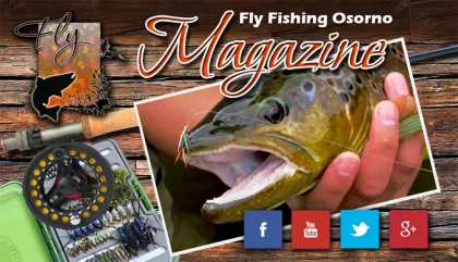 Portal de Pesca con mosca y servicios de Guias y Lodges en Chile en Osorno, Los Lagos