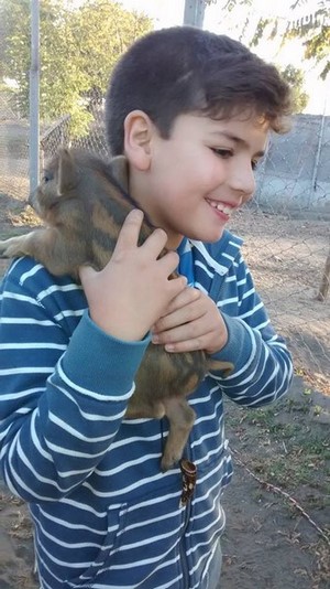 Entre la Naturaleza y los Animales