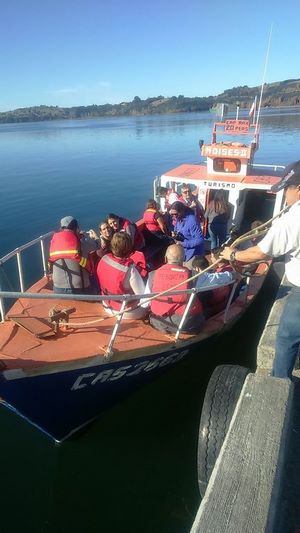 Tours y excursiones en Puerto Montt