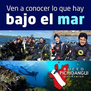 Buceo Pichidangui en Los Vilos, Coquimbo