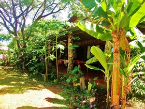 Cabañas Koro Nui