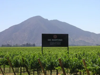 Tours, degustaciones, vendimia y crear tu propio vino