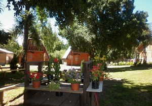 Cabañas equipadas en Pucón