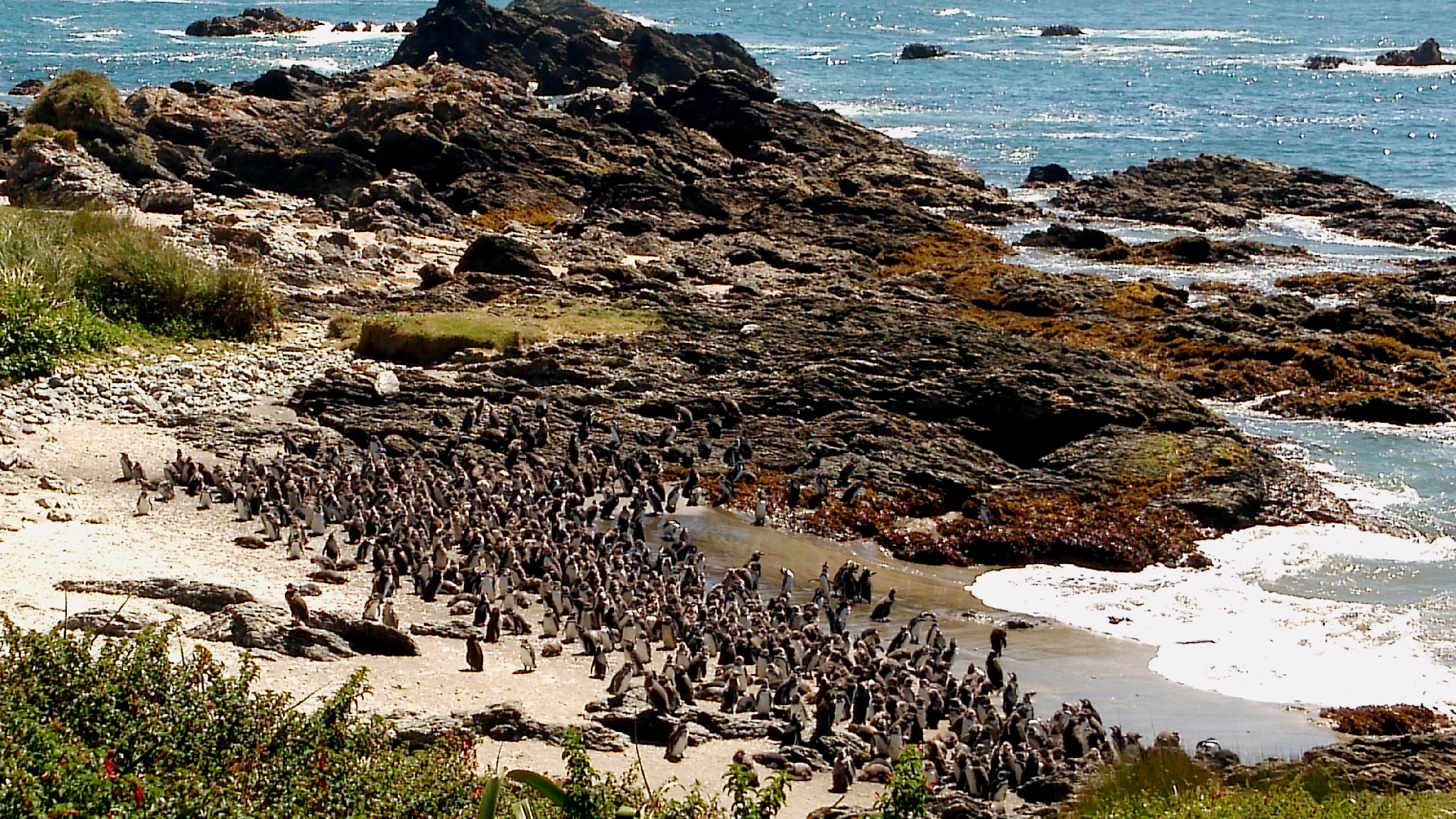 Casa Damasco Chiloí Hostel & Tours en Ancud, Los Lagos