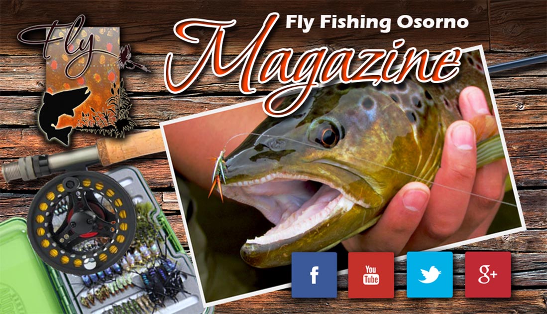 Portal de Pesca con mosca y servicios de Guias y Lodges en Chile en Osorno, Los Lagos