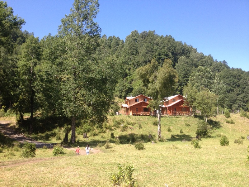 Cabañas Choshuenco Los Ulmos