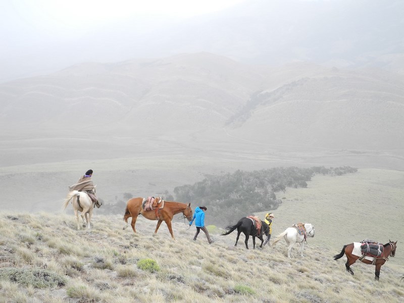 Cabalgatas en Cochamo en Cochamo, Los Lagos