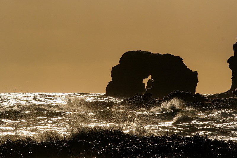 Tour fotogríficos en Osorno, Los Lagos