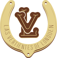 Las Vertientes de Lonquen