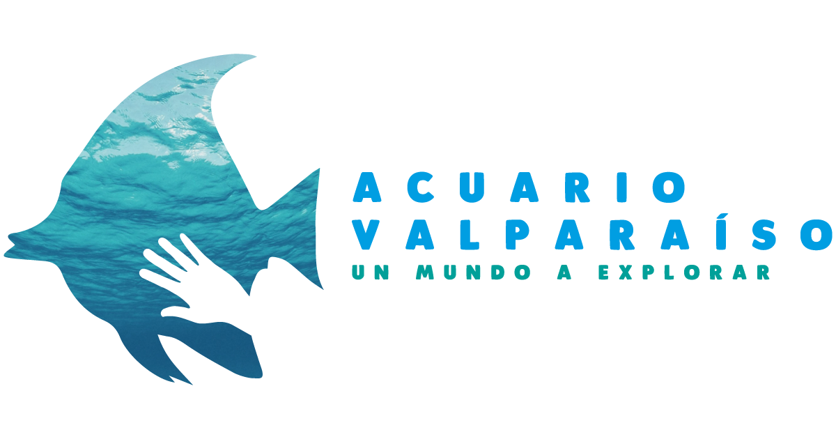 Acuario Valparaiso