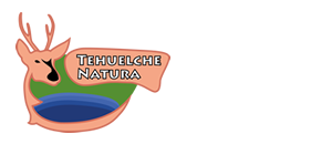 Sociedad Bustos y Compañía Limitada