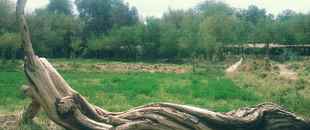 Camping Quilarcay