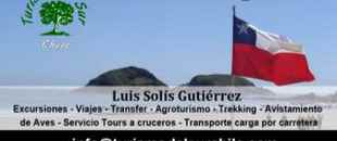 turismo del sur chile
