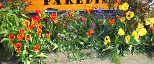Hostal Parediso