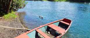 Camping los Canelos Pucon