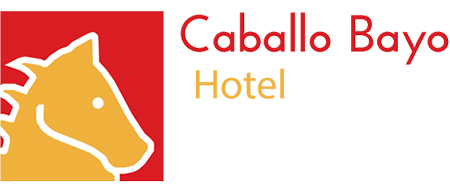 B&B Caballo Bayo Reñaca