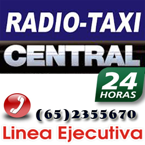 taxienpuertomontt.cl