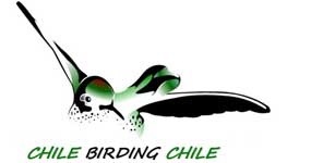 Chile Birding Chile
