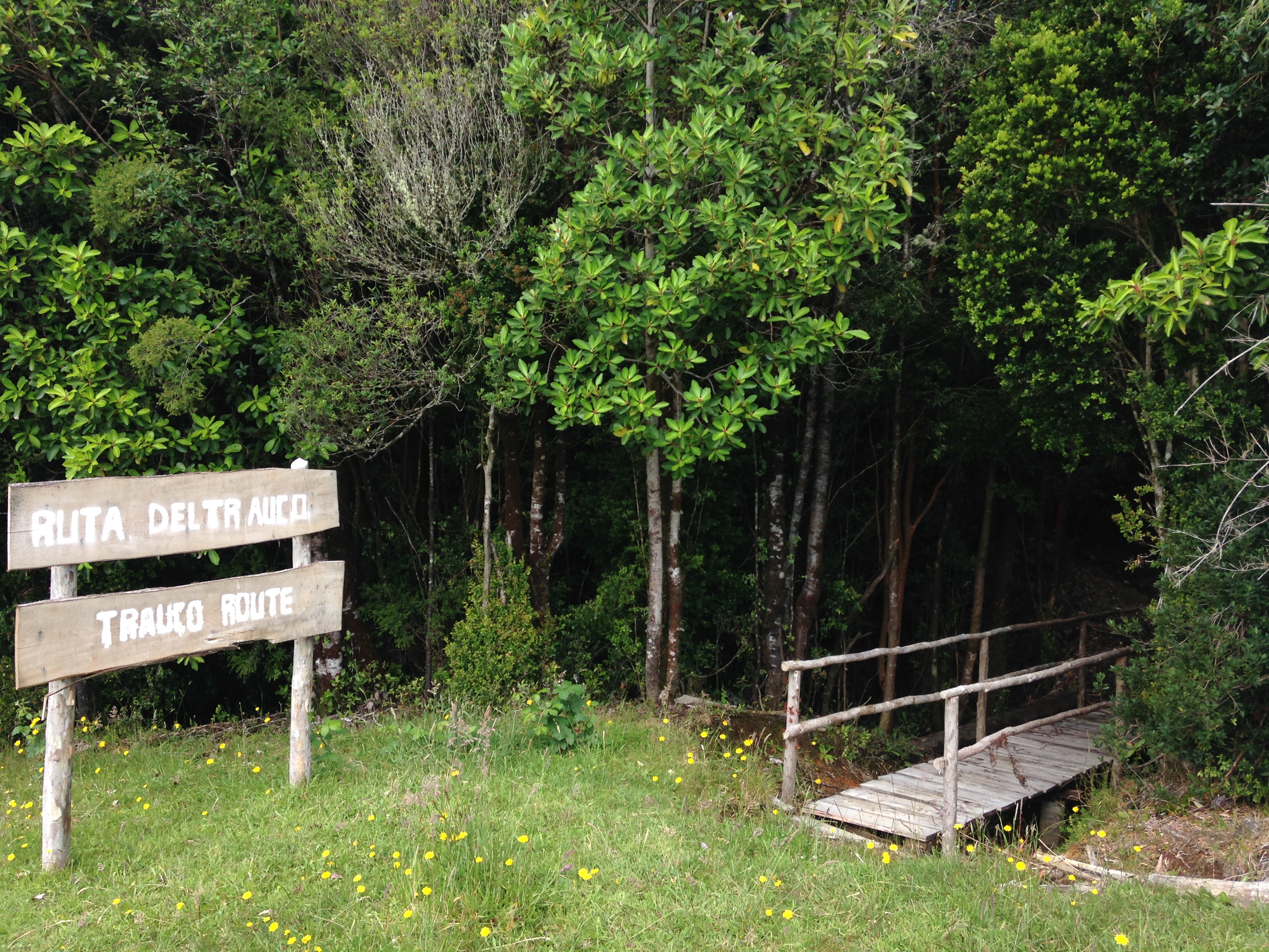 Chiloé Verde Turismo